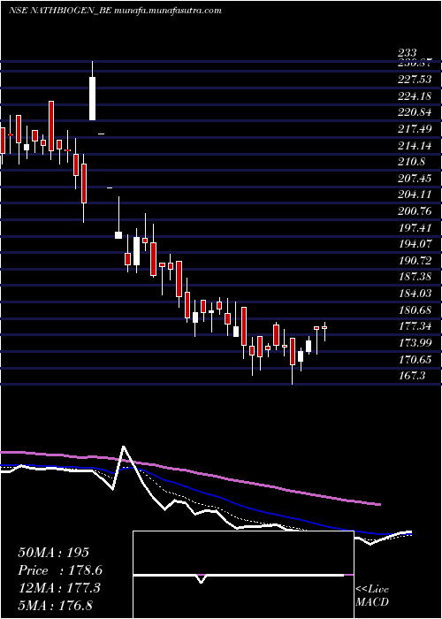  Daily chart NathBio