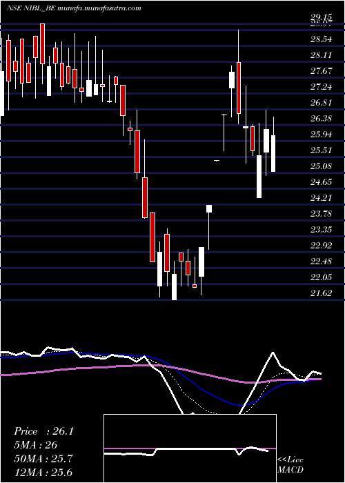  Daily chart NrbIndus