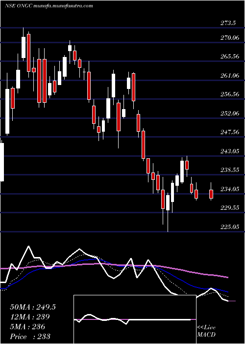  Daily chart OilNatural