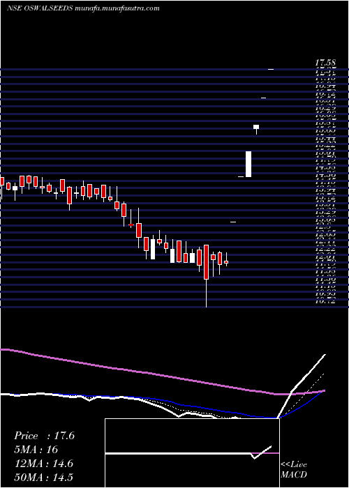  Daily chart ShreeoswalS