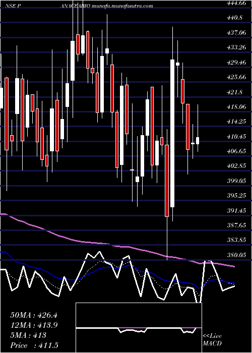  Daily chart PanaceaBiotec
