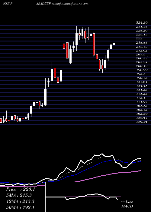  Daily chart ParadeepPhosphates