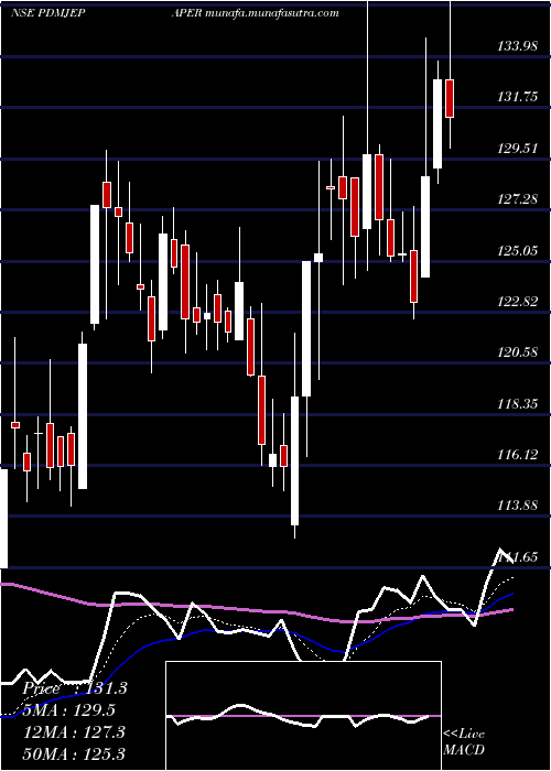  Daily chart PudumjeePaper