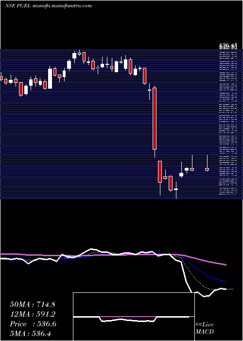  Daily chart PgElectroplast