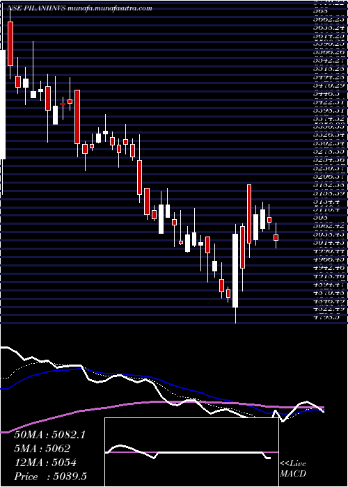  Daily chart PilaniInv