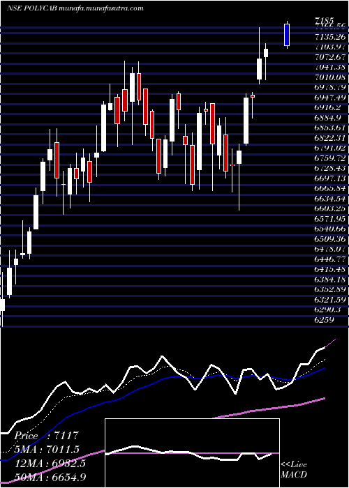  Daily chart PolycabIndia