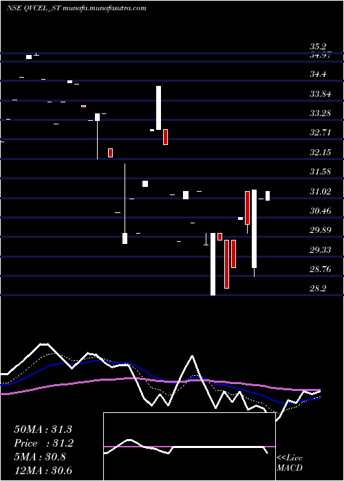  Daily chart QvcExports