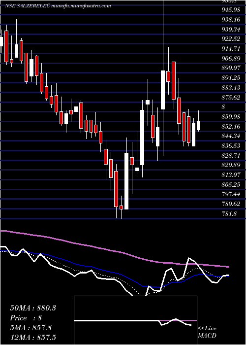  Daily chart SalzerElectronics