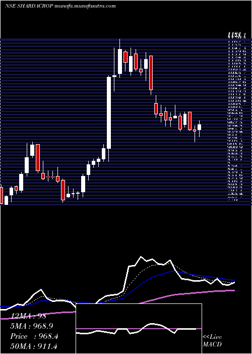  Daily chart ShardaCropchem