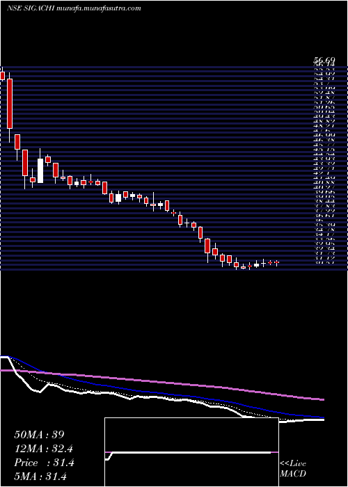  Daily chart SigachiIndustries
