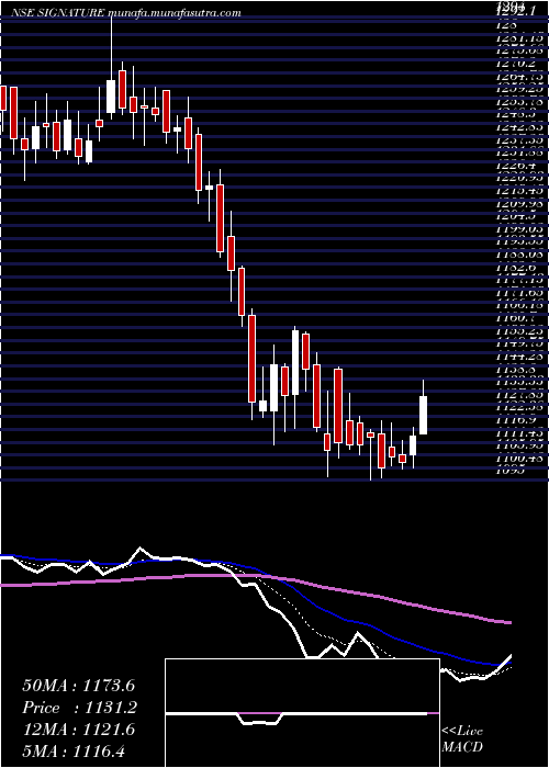 Daily chart SignatureglobalIndia