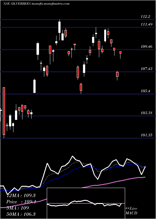  Daily chart NipponamcNetfsilver