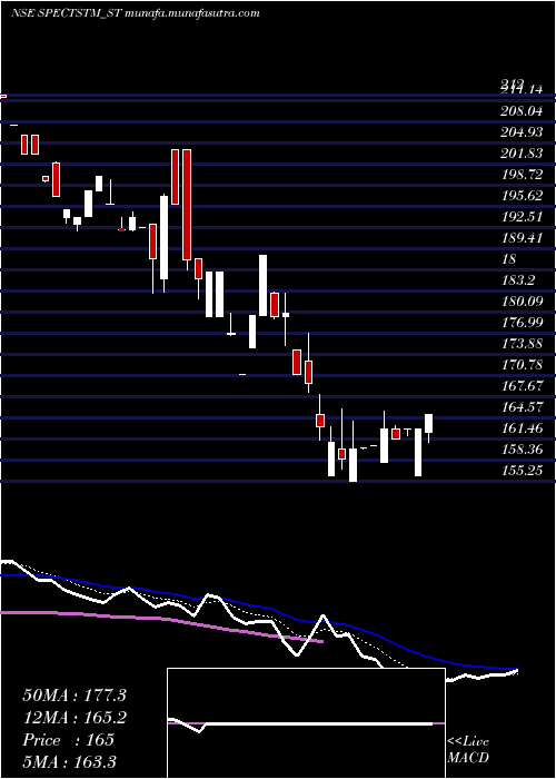  Daily chart SpectrumTalent