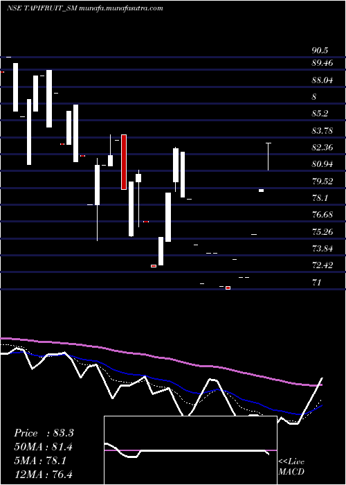  Daily chart TapiFruit