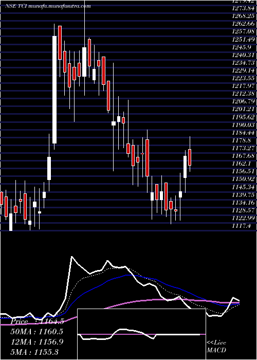 Daily chart TransportCorporation