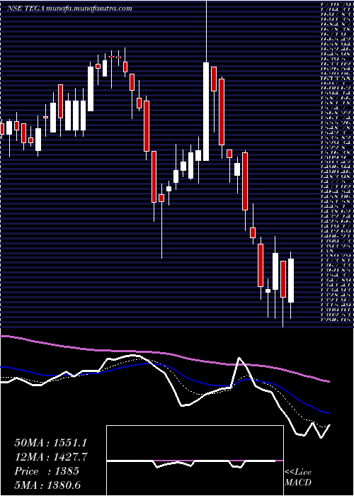  Daily chart TegaIndustries