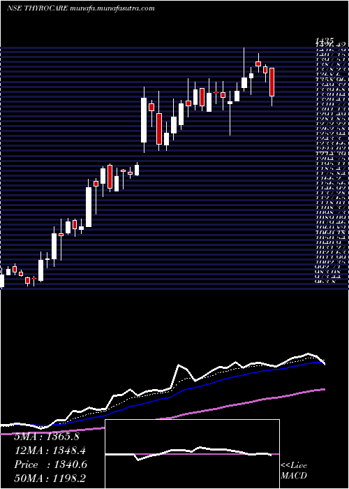  Daily chart ThyrocareTech