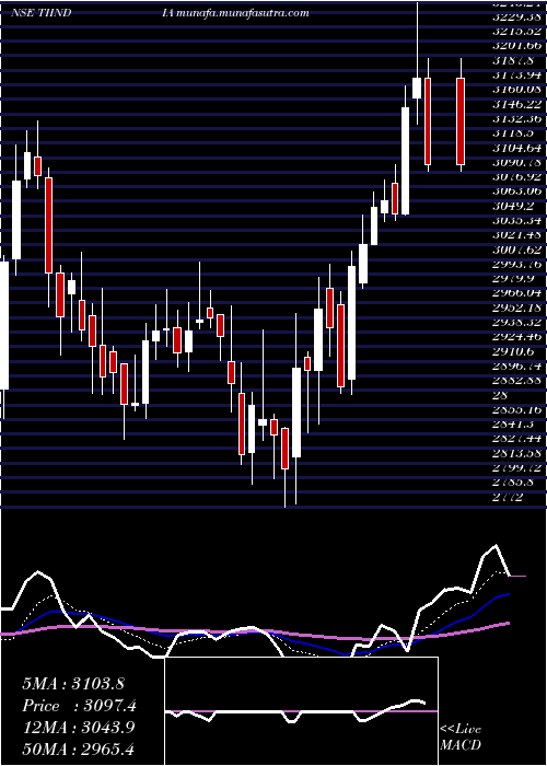  Daily chart TubeInvest