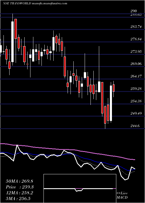  Daily chart TransworldShip