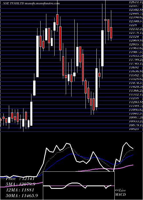  Daily chart TvsHoldings