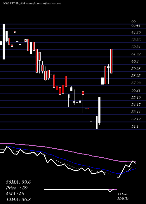  Daily chart VitalChemtech