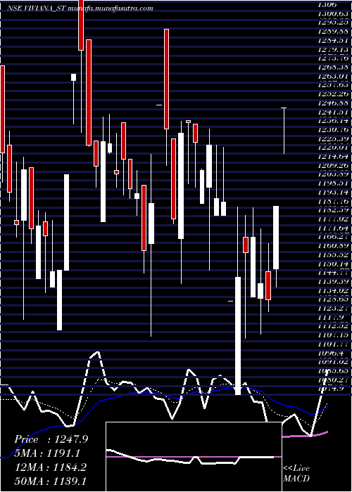  Daily chart VivianaPower