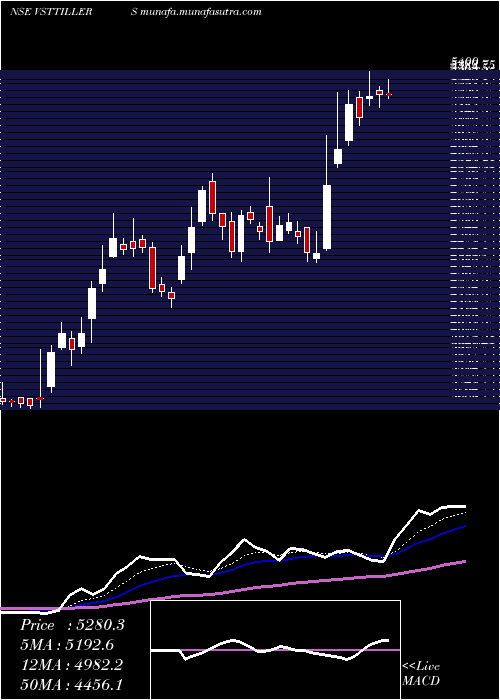  Daily chart VS