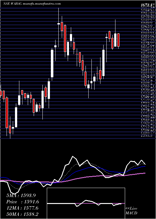  Daily chart VaTech