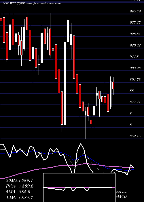  Daily chart WelspunCorp