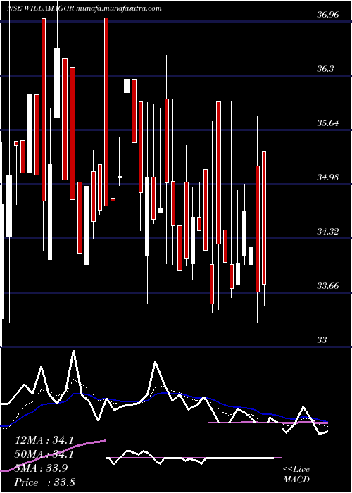  Daily chart WilliamsonMagor