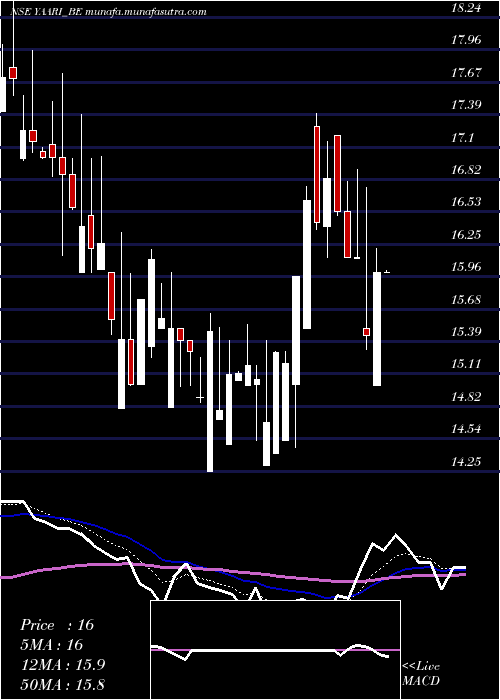  Daily chart YaariDigi