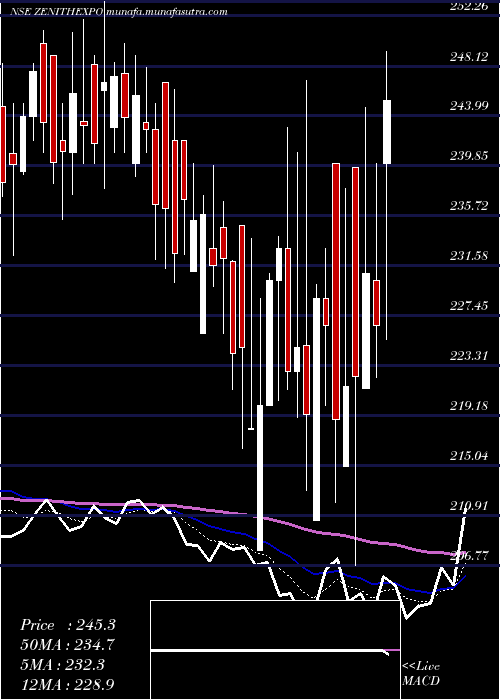  Daily chart ZenithExports