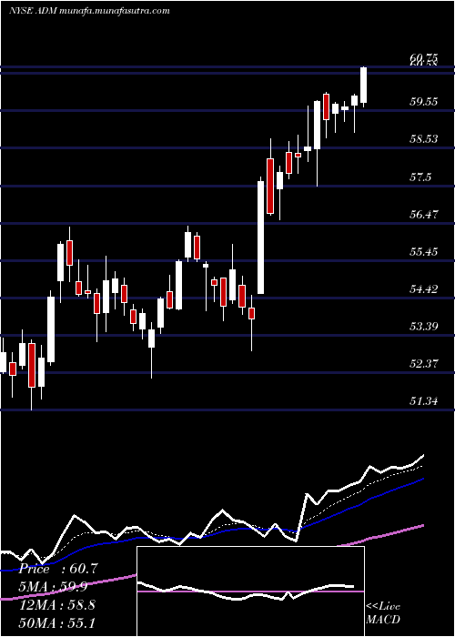  Daily chart ArcherDaniels