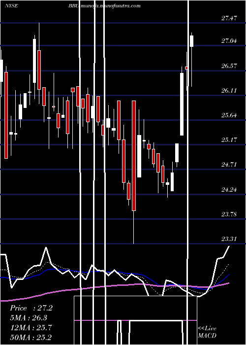  Daily chart BrookfieldBusiness