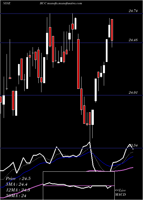  Daily chart BrunswickCorp