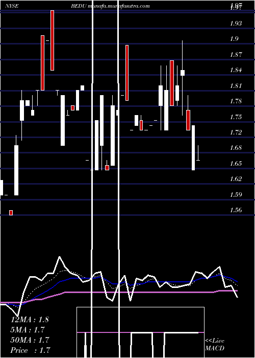  Daily chart BrightScholar
