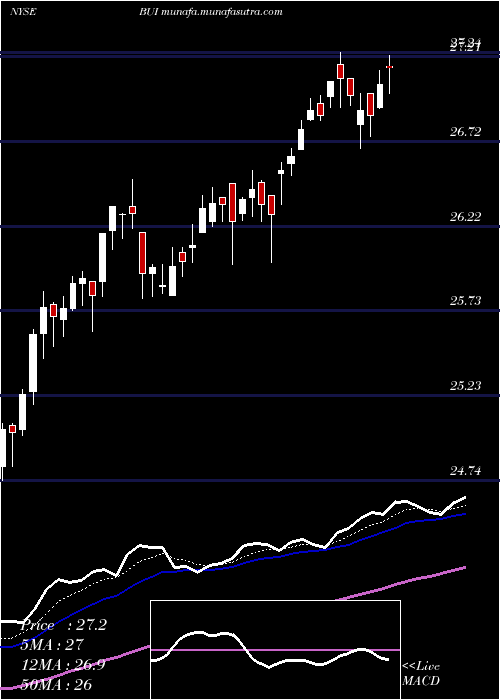  Daily chart BlackrockUtility