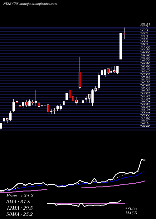  Daily chart CooperStandard
