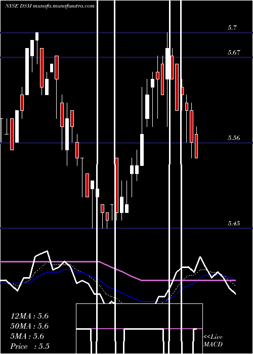  Daily chart DreyfusStrategic