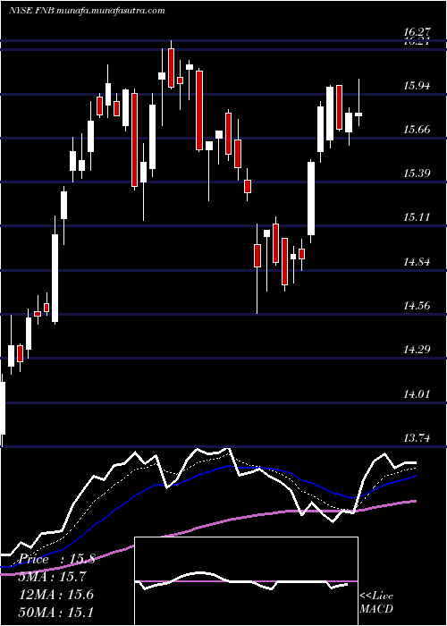  Daily chart FN