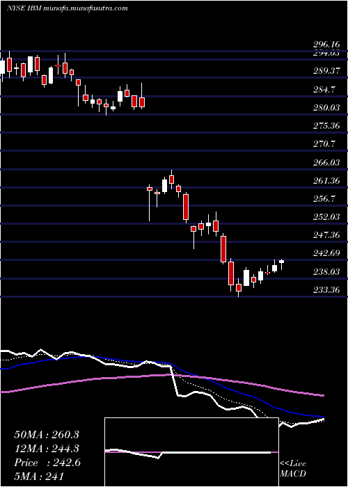  Daily chart InternationalBusiness