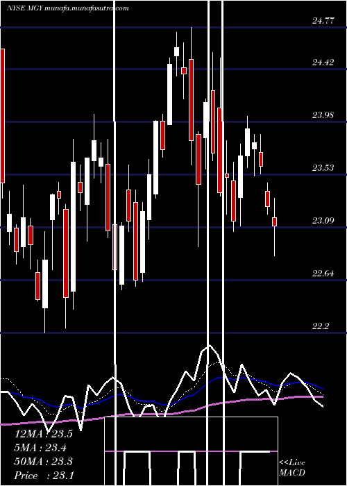  Daily chart MagnoliaOil