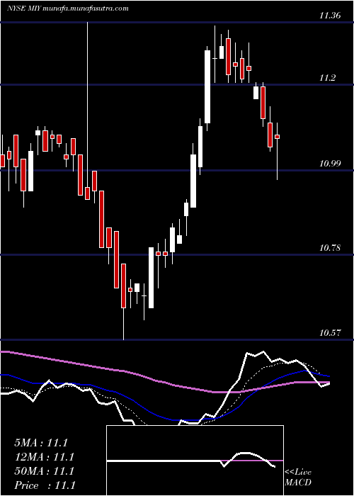  Daily chart BlackrockMuniyield