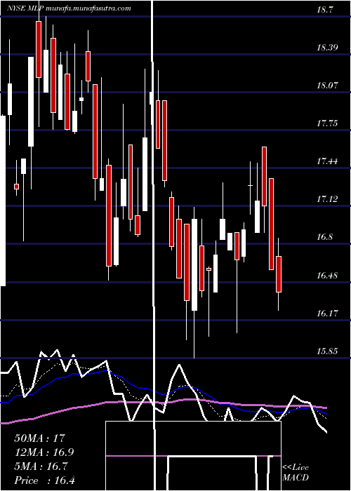  Daily chart MauiLand