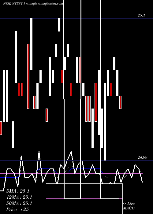  Daily chart 