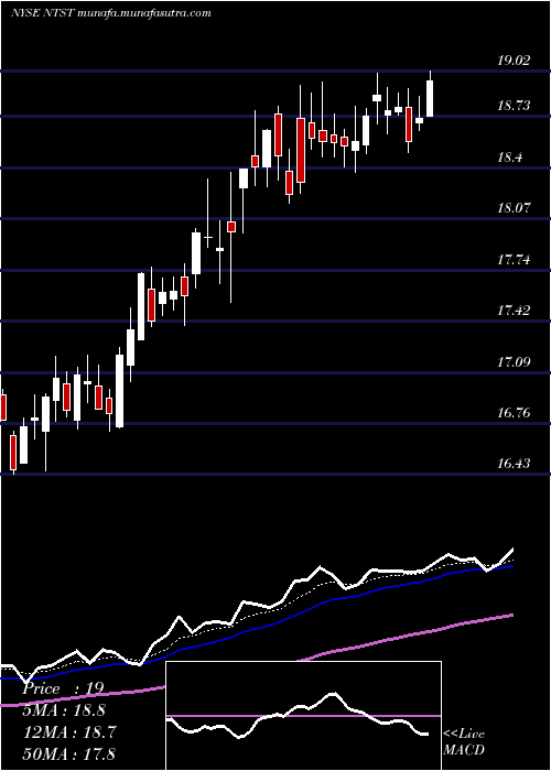  Daily chart NetstreitCorp
