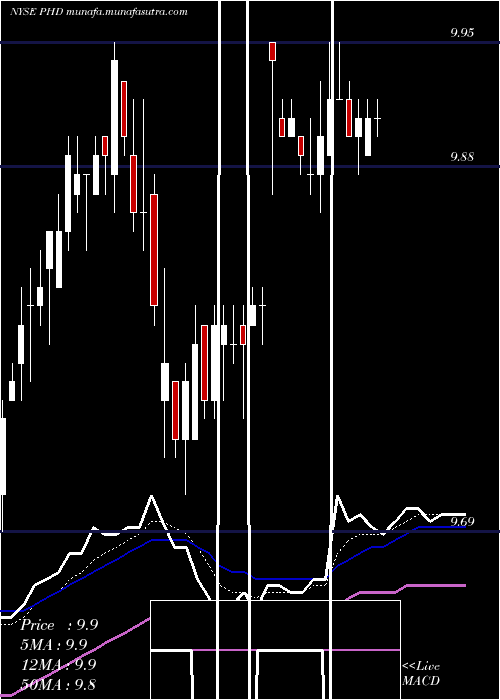 Daily chart PioneerFloating