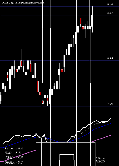  Daily chart PioneerHigh