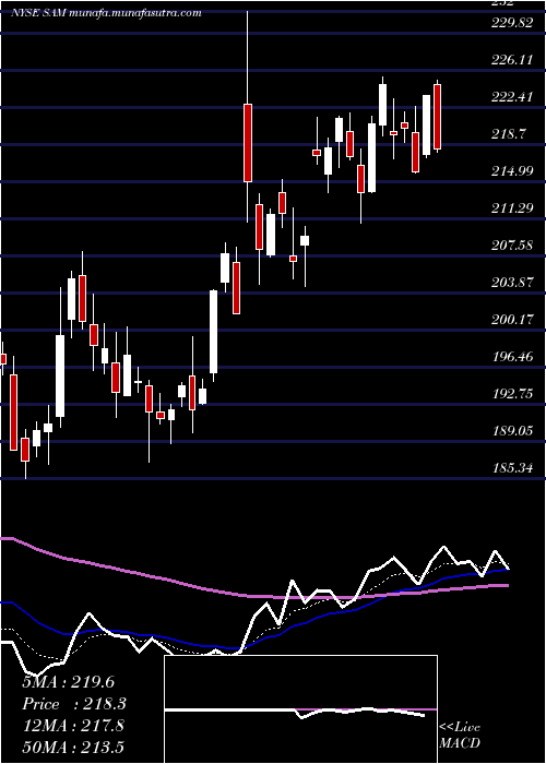  Daily chart BostonBeer
