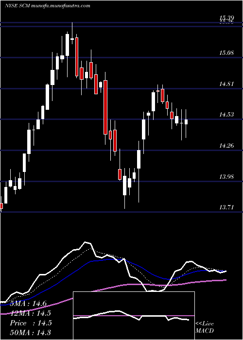  Daily chart StellusCapital
